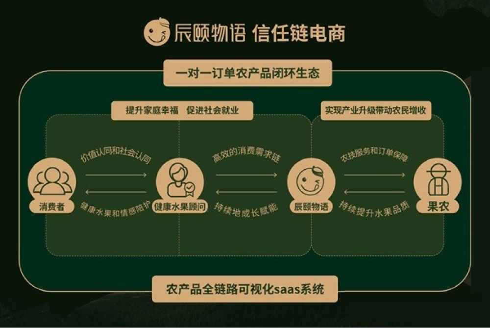辰颐物语 信任链电商