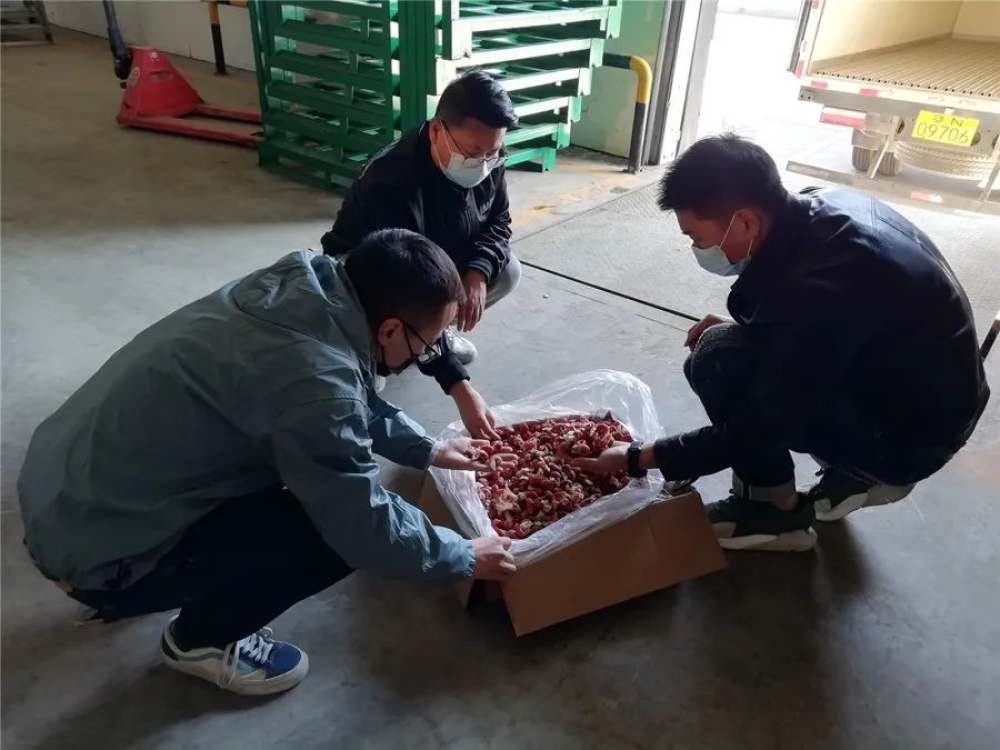10月11日，辰颐物语华中区选品总经理刘金豹正在潜网集团挑选虾尾，让速冻的虾尾经过分拣、打包后，快速装车发往全国各地。