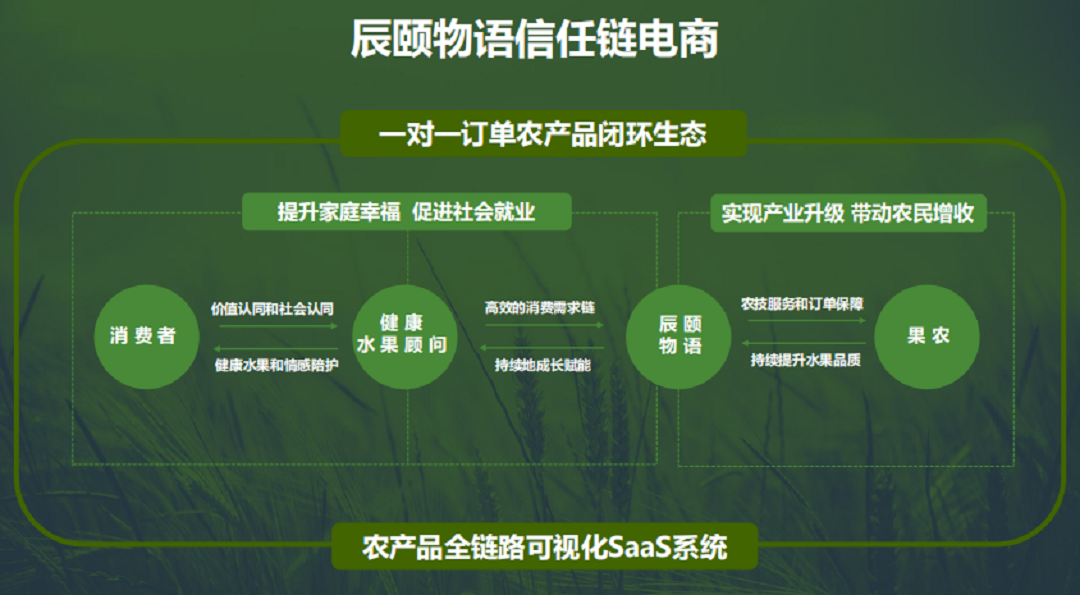 农产品全链路可视化SaaS系统