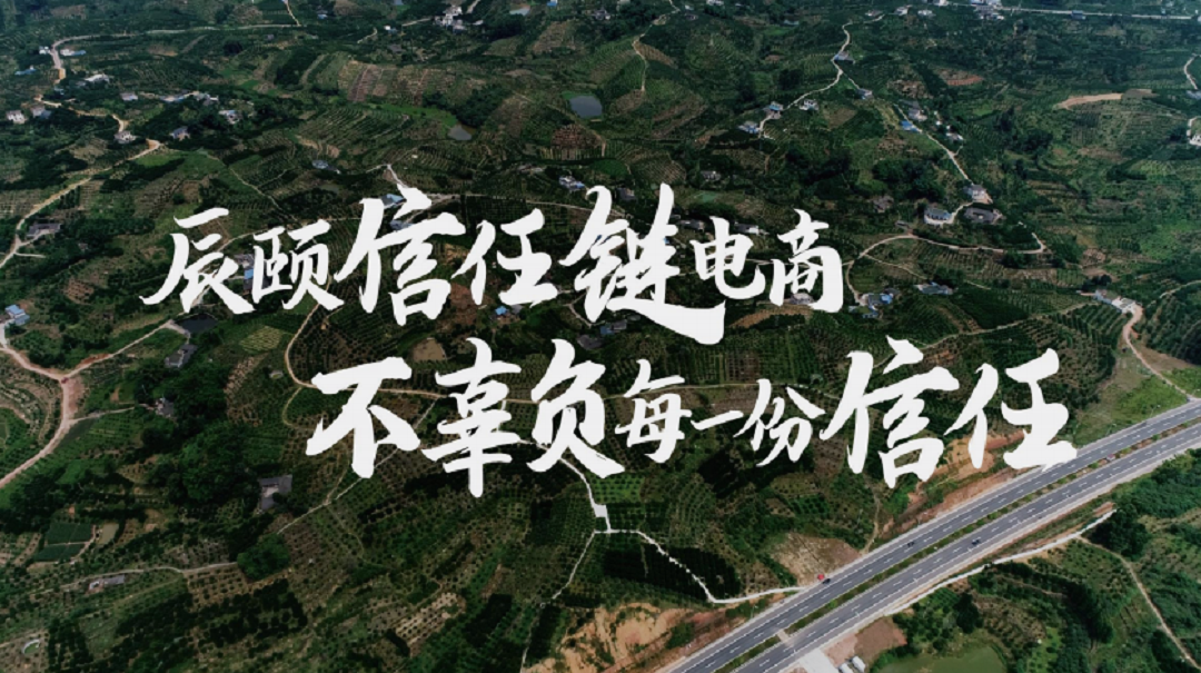 辰颐信任链电商，不辜负每一份信任
