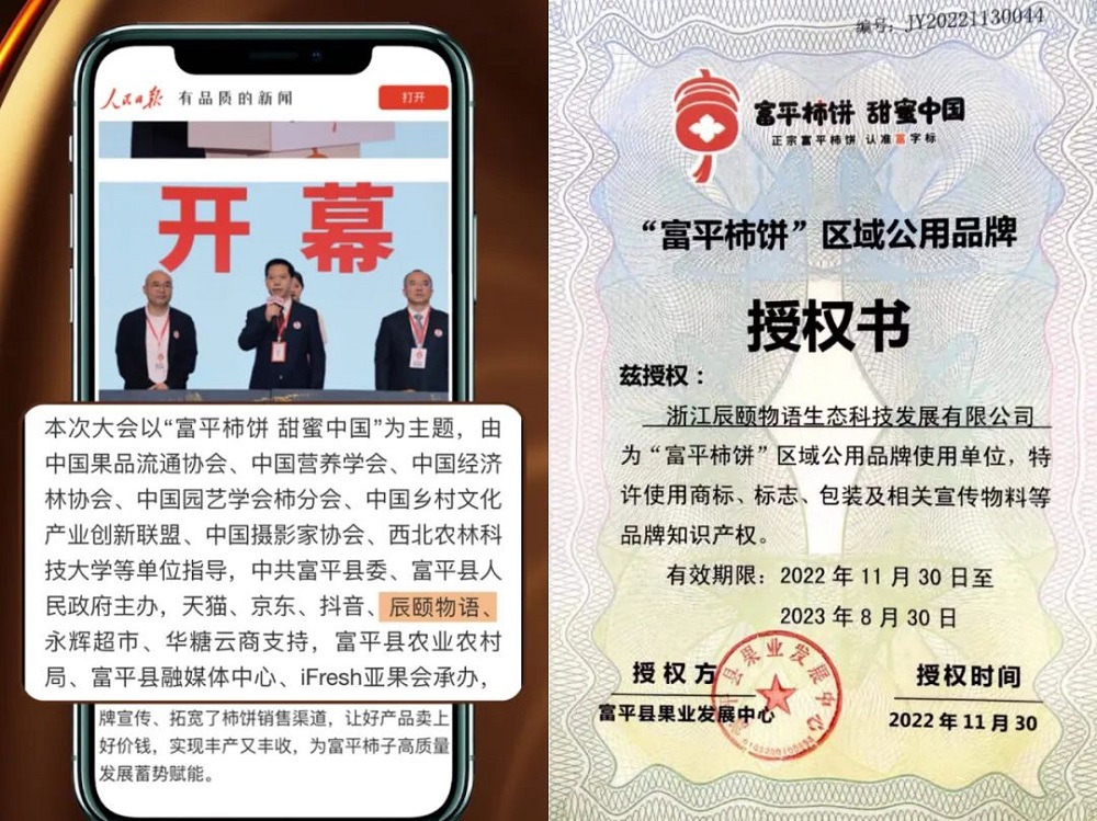 它在首届富平柿饼全球经销商大会中获得，代表辰颐富平柿饼的正宗，代表了当地政府对辰颐的认可，代表了辰颐品牌的影响力。