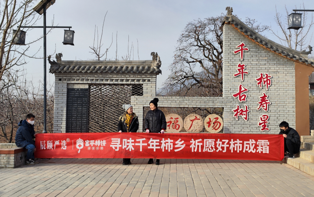 核心产区 优质品种  造就一颗好柿