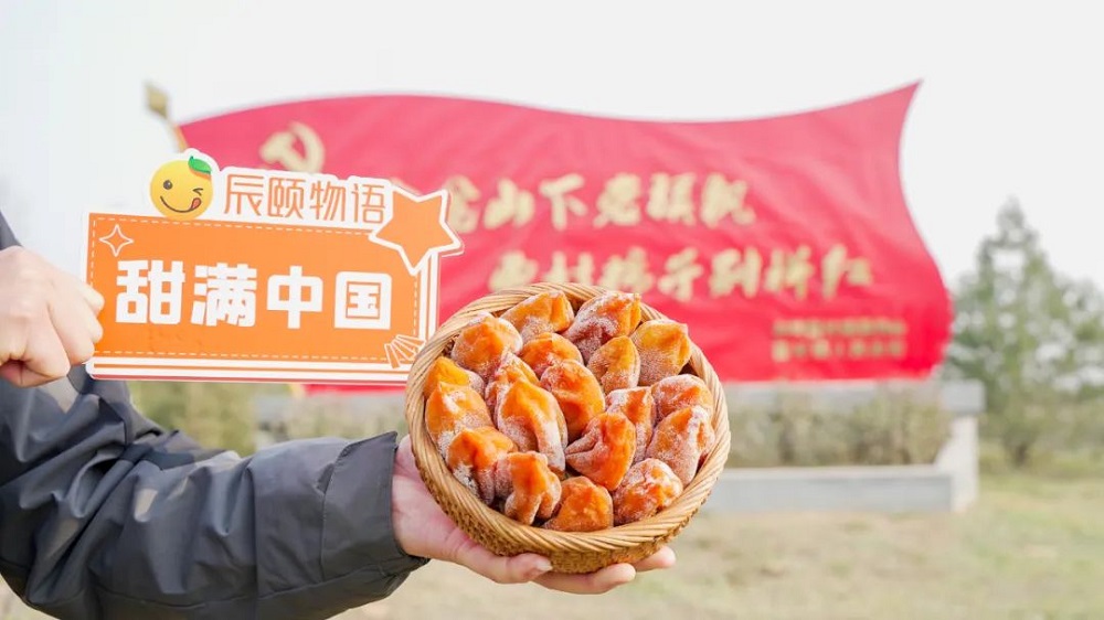 优中择产区还不够，我们再细挑柿子品种，最终选出个头大、果肉多、糖分含量高的富平尖柿作为制饼原料。