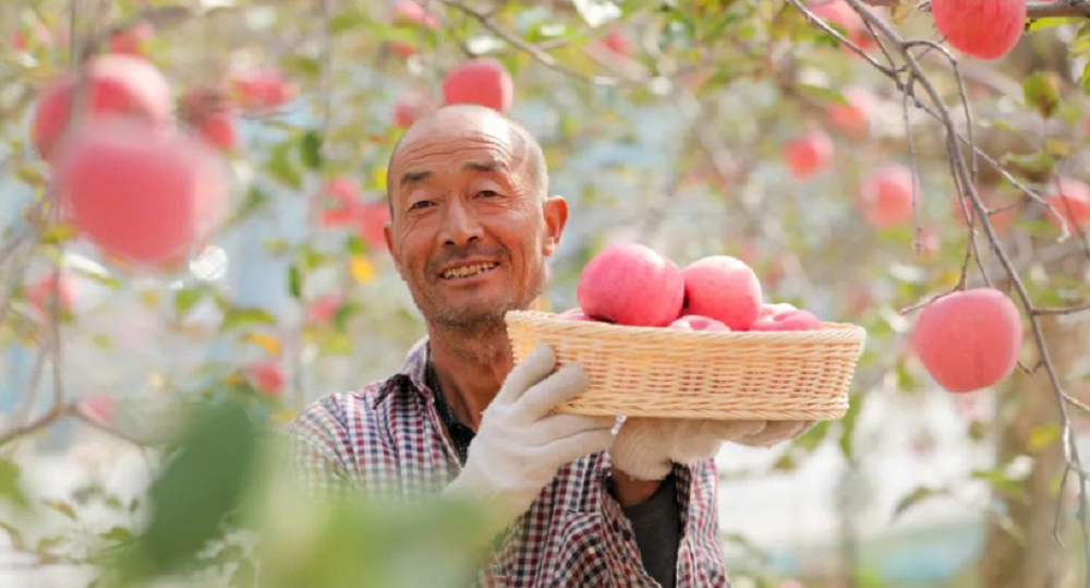 以梦为马  匠心前行