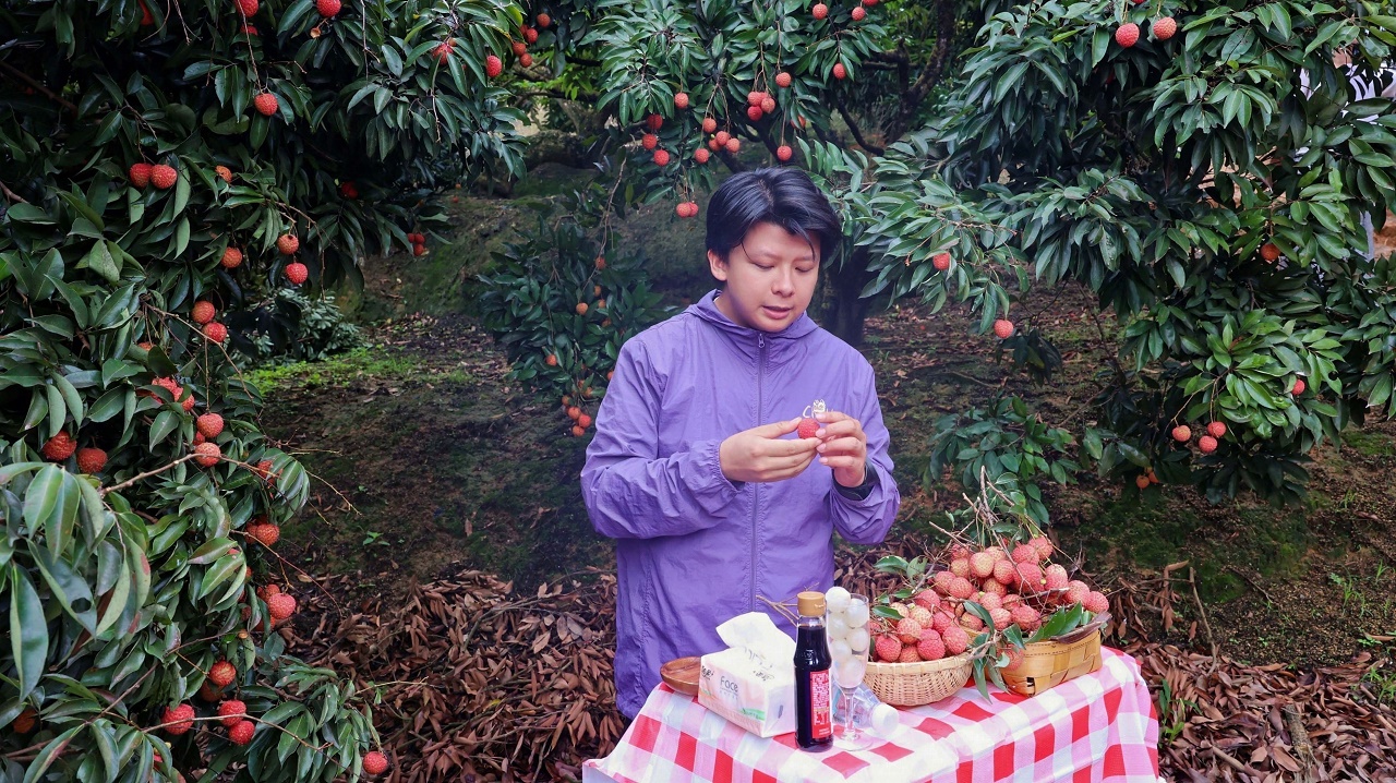 又到一年荔枝季，6月23日，辰颐物语“甜满中国·健康万家”溯源团队来到了广西灵山，走进千年荔城，品味桂味荔枝的鲜甜滋味。