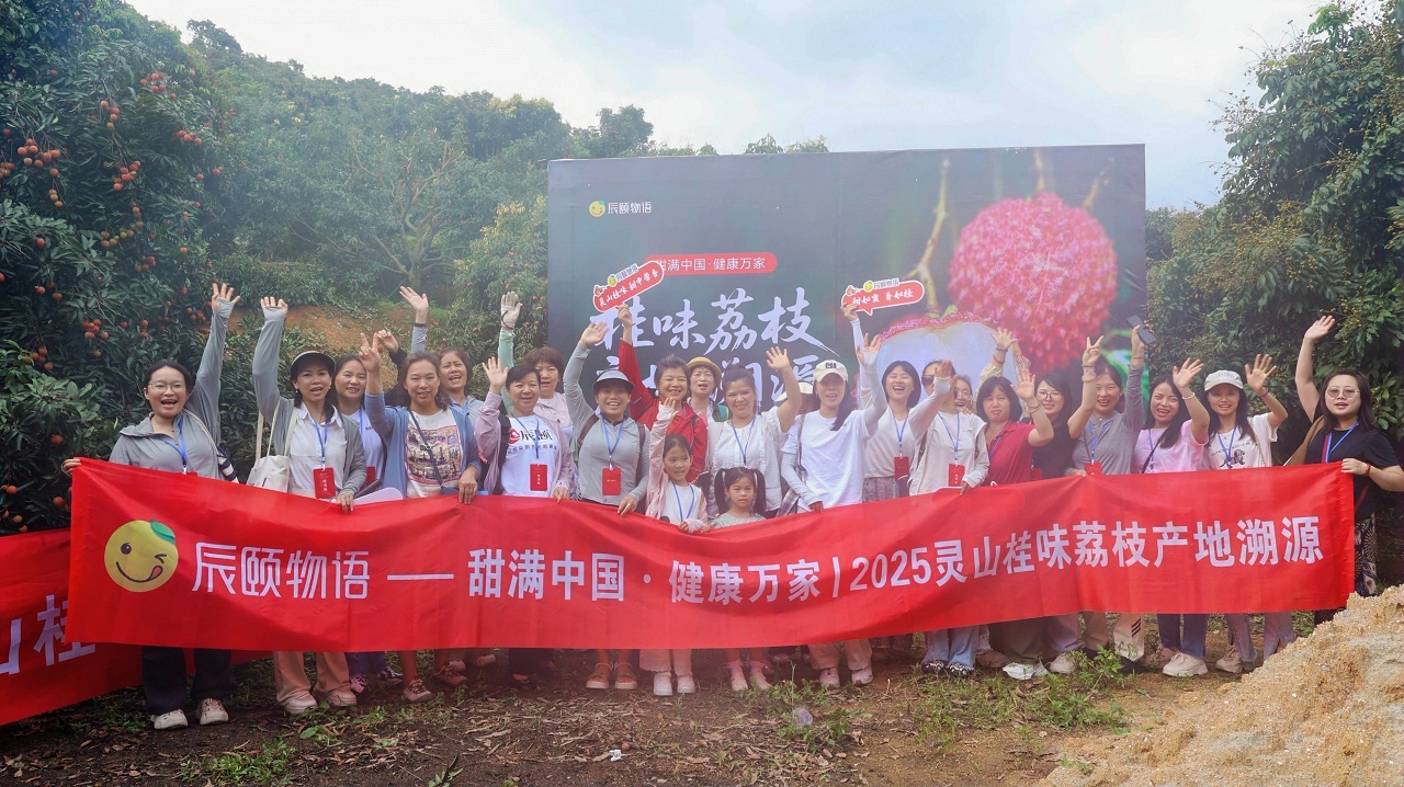 溯源当日，辰颐物语完成灵山桂味荔枝助农销售10万斤。这个盛夏，让这份源自千年荔城的鲜甜桂味，成为您舌尖上的美好记忆。