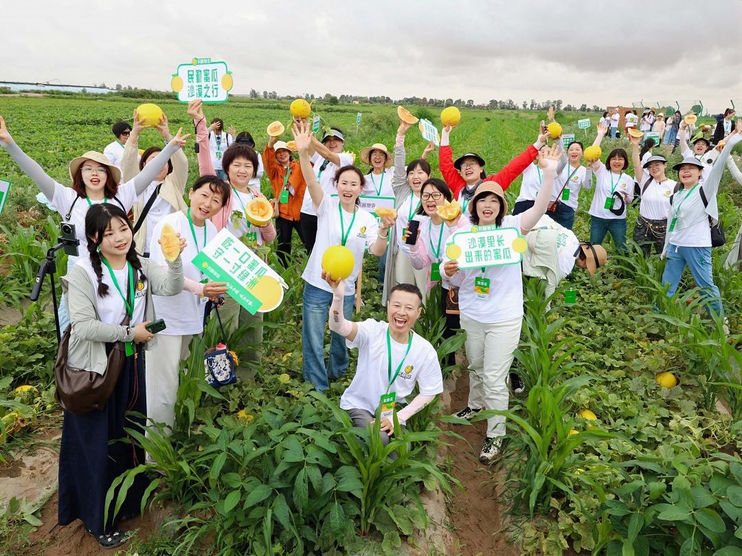 当电商的触角深入沙漠腹地，民勤蜜瓜跨越千里，传递的不仅是舌尖的甘甜，更是沙海变金、绿洲永续的信心。
