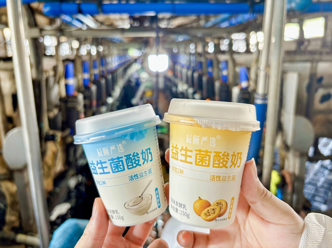 通过与辰颐物语信任链电商合作，益生菌酸奶首发销售10w杯